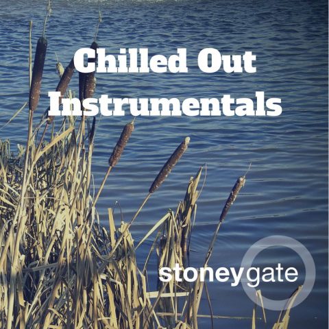 A playlist of chilled out instrumental music. No lyrics!